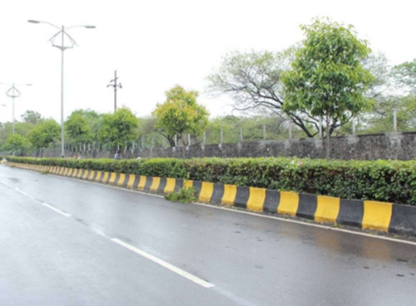 Median plantation with staking and tree guards